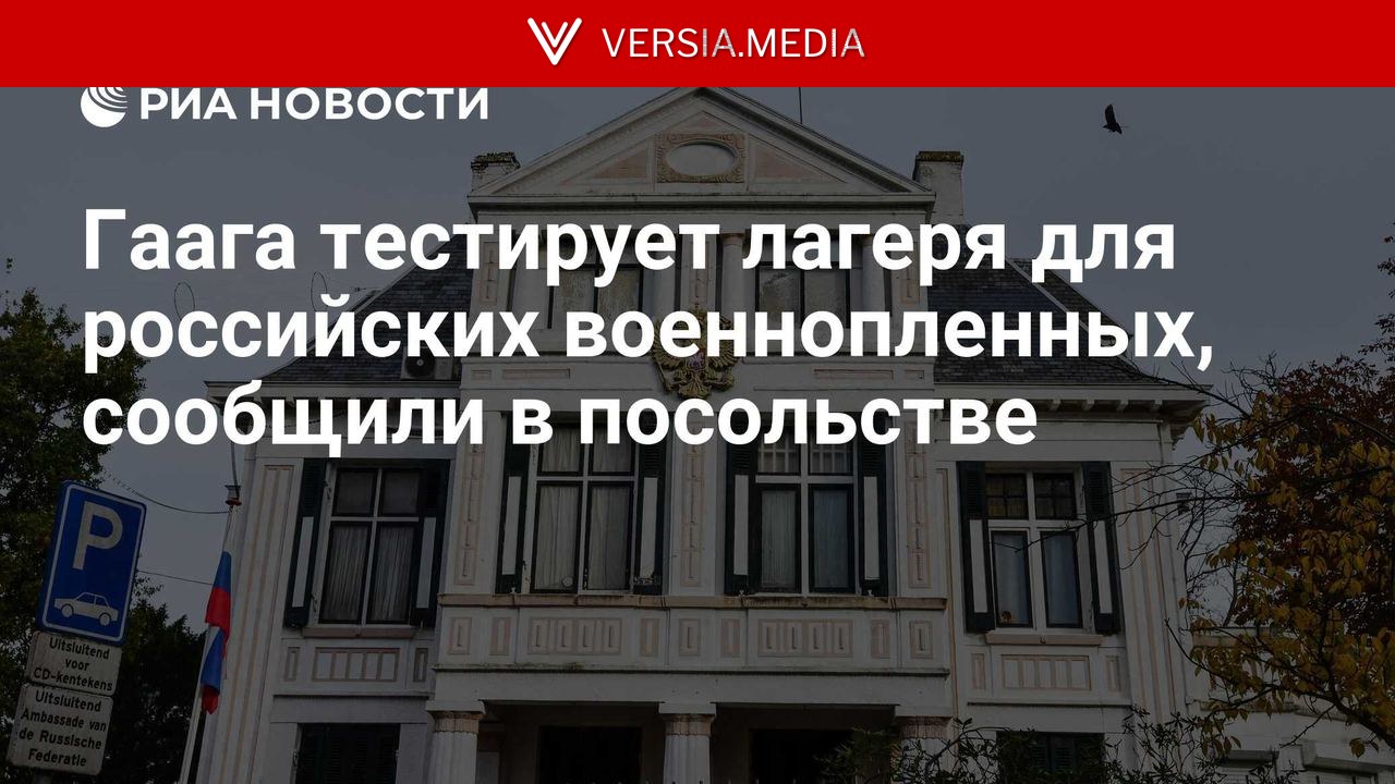 Гаага тестирует лагеря для российских военнопленных, сообщили в посольстве — Politics | Versia.media